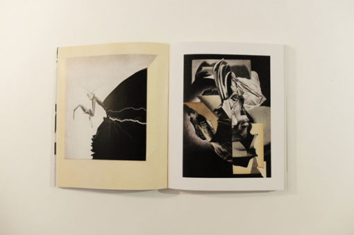 L'éclat - Bill Noir – Image 8