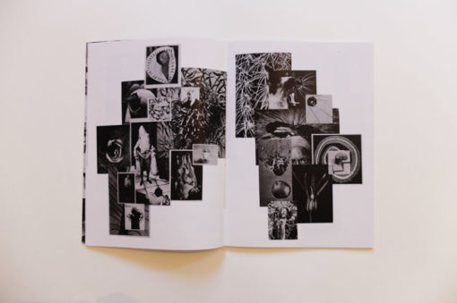 Imago - Bill Noir – Image 12