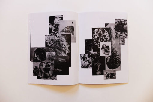 Imago - Bill Noir – Image 13