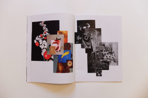 Imago - Bill Noir – Image 8
