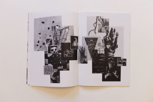 Imago - Bill Noir – Image 2