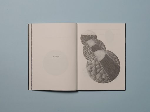 Aujourd'hui est le jour où tu rejoins tes semblables - Marion Balac – Image 15