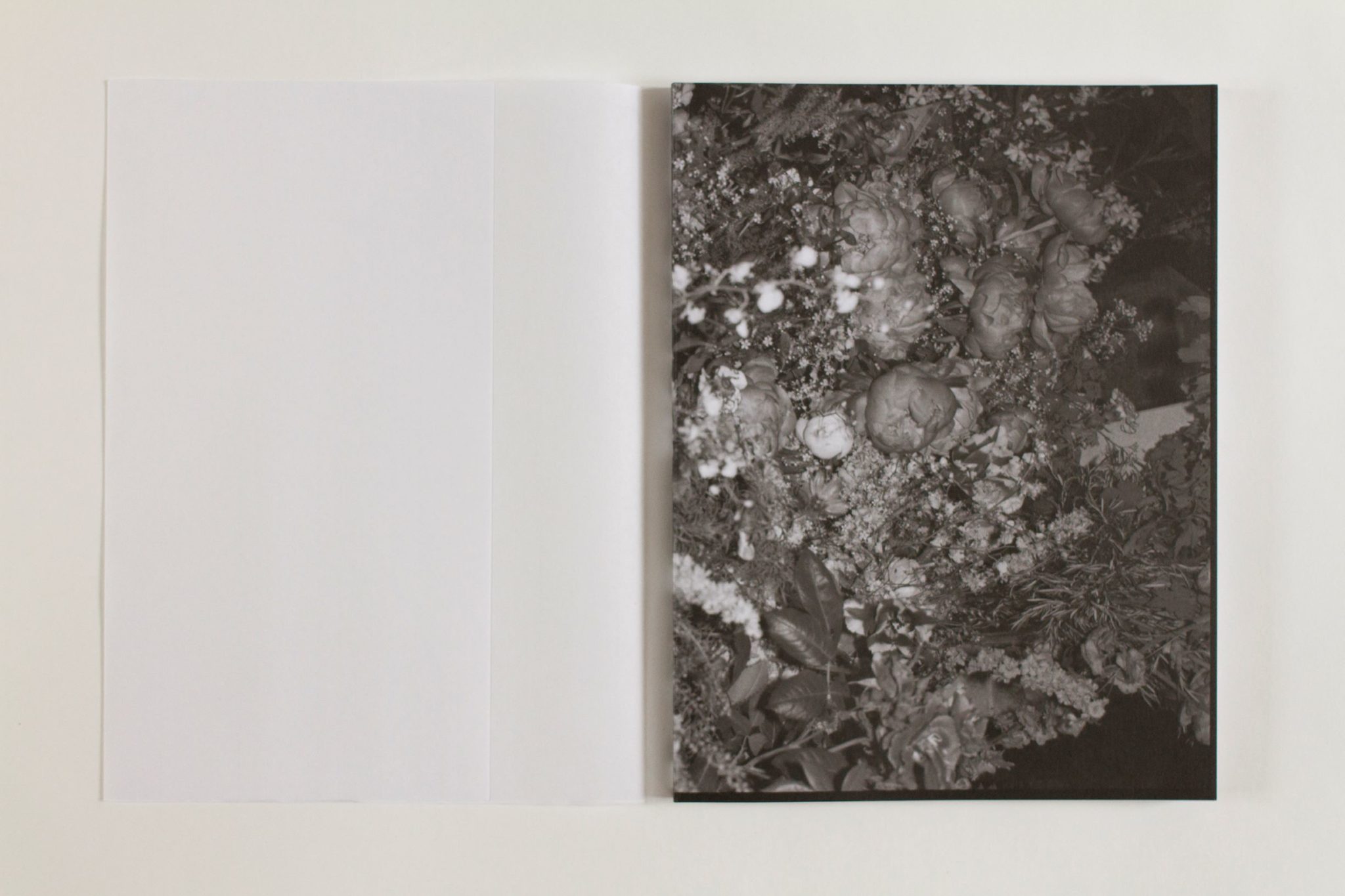 Mon corps comme une plage - Rebekka Deubner – Image 2