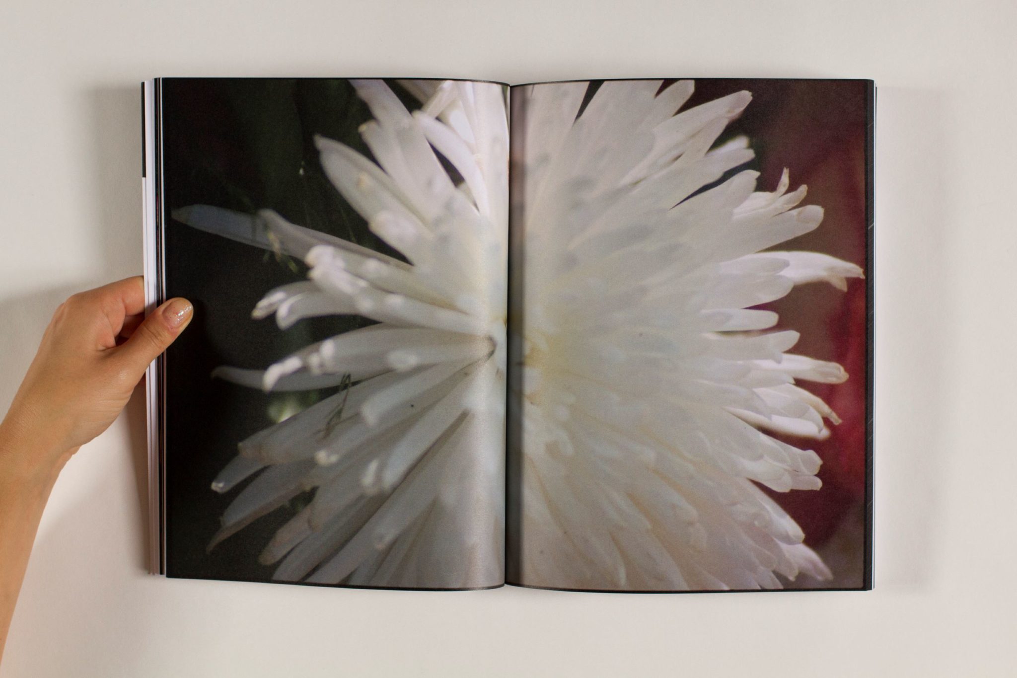 Mon corps comme une plage - Rebekka Deubner – Image 10