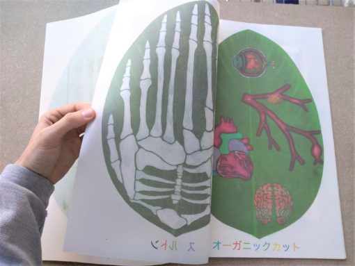La reflexologie par les plantes - Samuel Trenquier Tombola – Image 7
