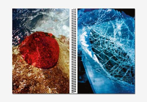 Red Harvest - Marguerite Bornhauser – Image 2