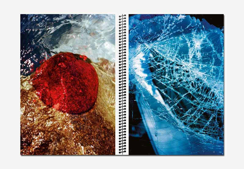 Red Harvest - Marguerite Bornhauser – Image 2