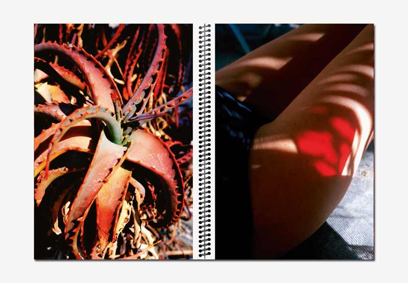 Red Harvest - Marguerite Bornhauser – Image 5