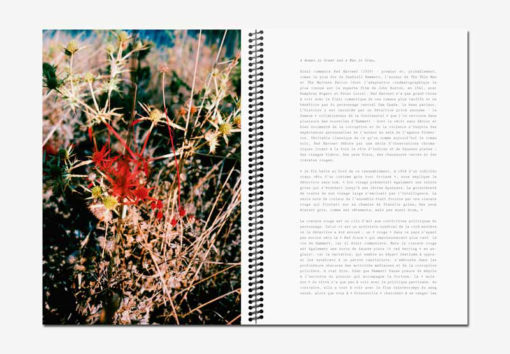 Red Harvest - Marguerite Bornhauser – Image 6