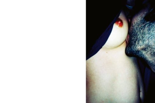 Elegy for the Mundane - Gaël Bonnefon – Image 10