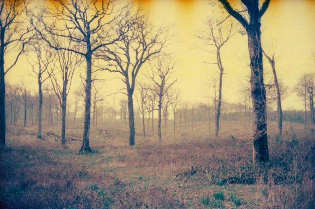 Elegy for the Mundane - Gaël Bonnefon – Image 6