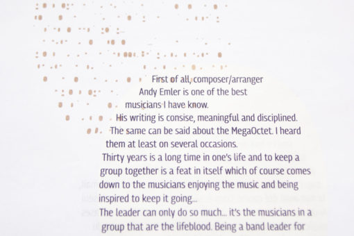 MegaOctet Verbateam – Image 5
