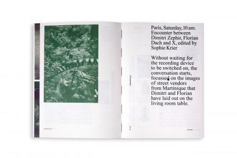 Field Essays - “Éloj Kréyol” - Coll. – Image 11