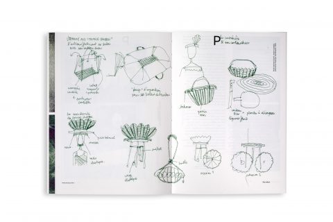 Field Essays - “Éloj Kréyol” - Coll. – Image 15