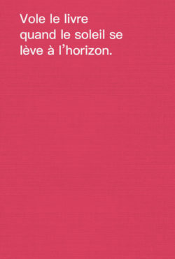 Comment voler des livres - David Horvitz