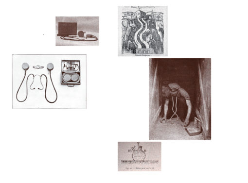 Une généalogie des grandes oreilles - Lauren Tortil – Image 11