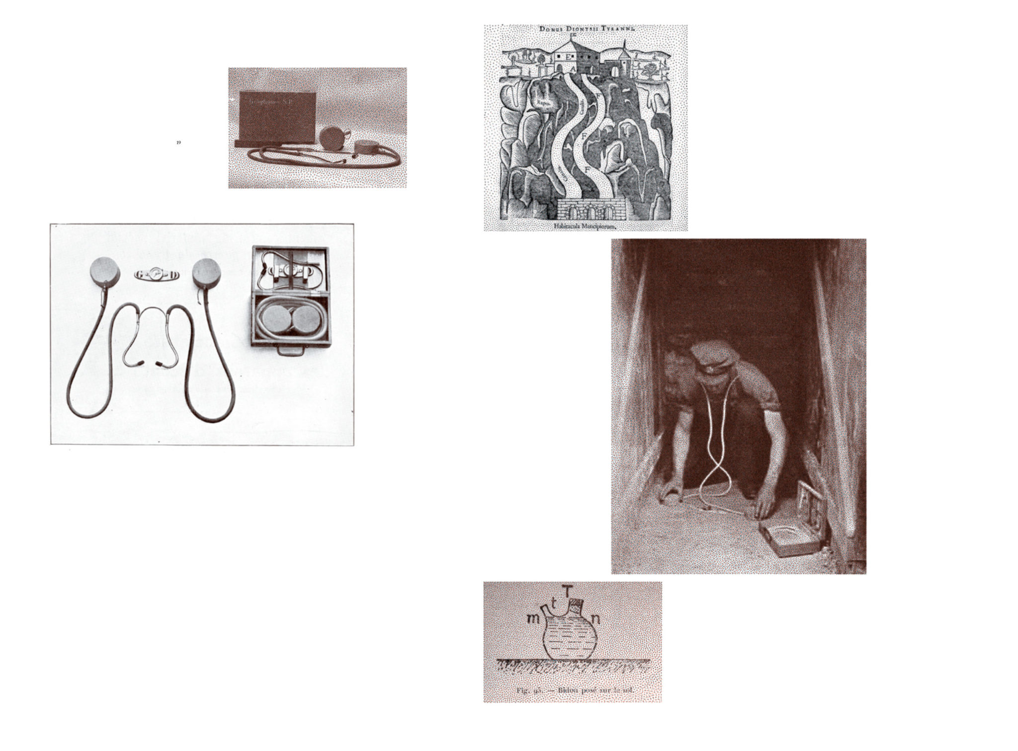 Une généalogie des grandes oreilles - Lauren Tortil – Image 11