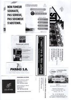 Non fumeur souhaite, pas sérieux, pas soigneux, s'absternir - Lalie Thébault Maviel, Maéva Prigent