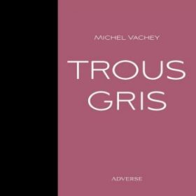Trous gris - Michel Vachey – Image 5