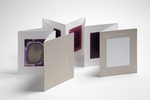 Conservation - Thérèse Verrat & Vincent Toussaint – Image 5
