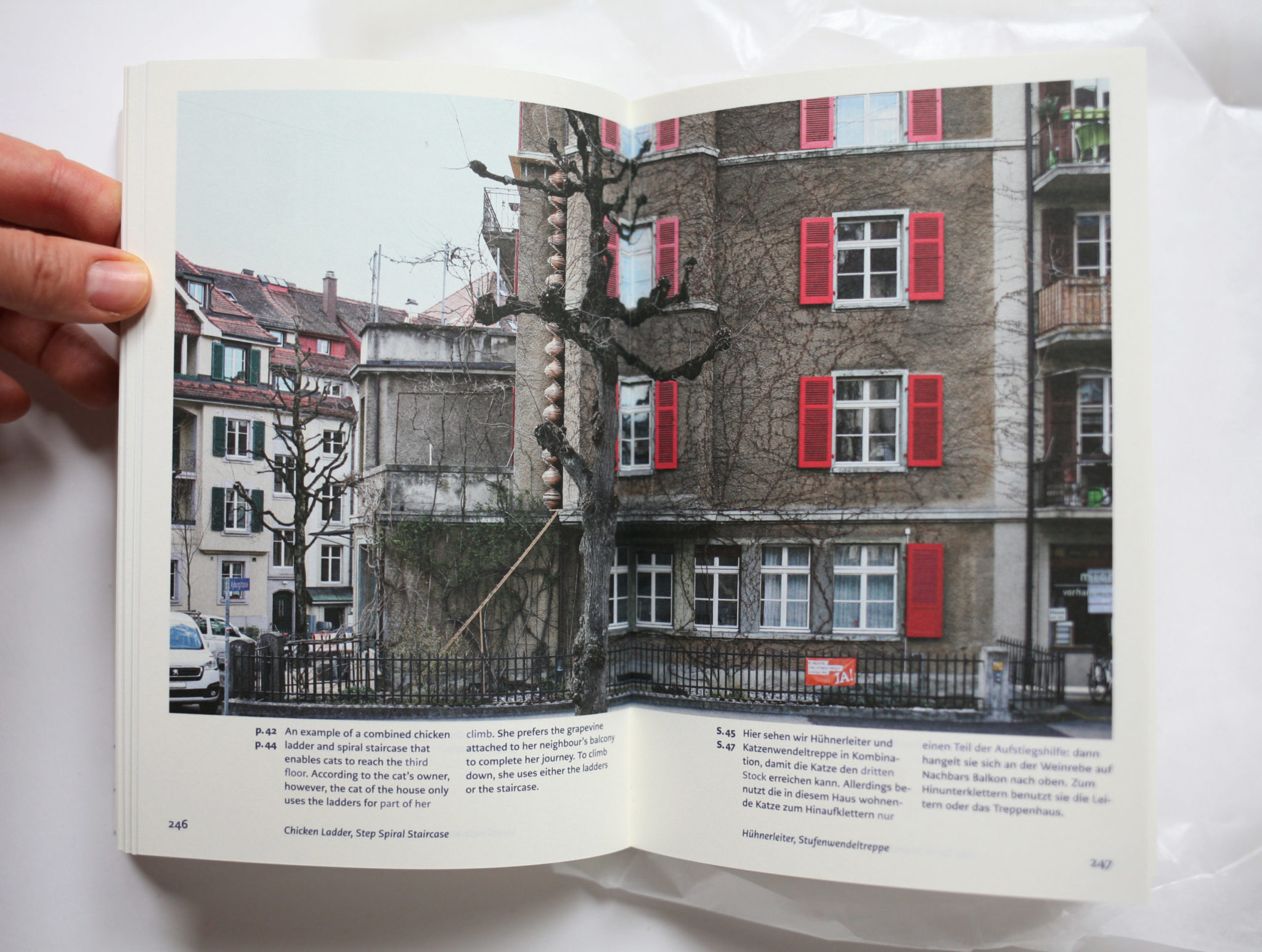 Architektur für die Katz / Arcatecture - Brigitte Schuster – Image 4