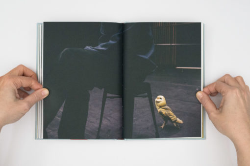 A Sensitive Education - Francesca Todde – Image 12