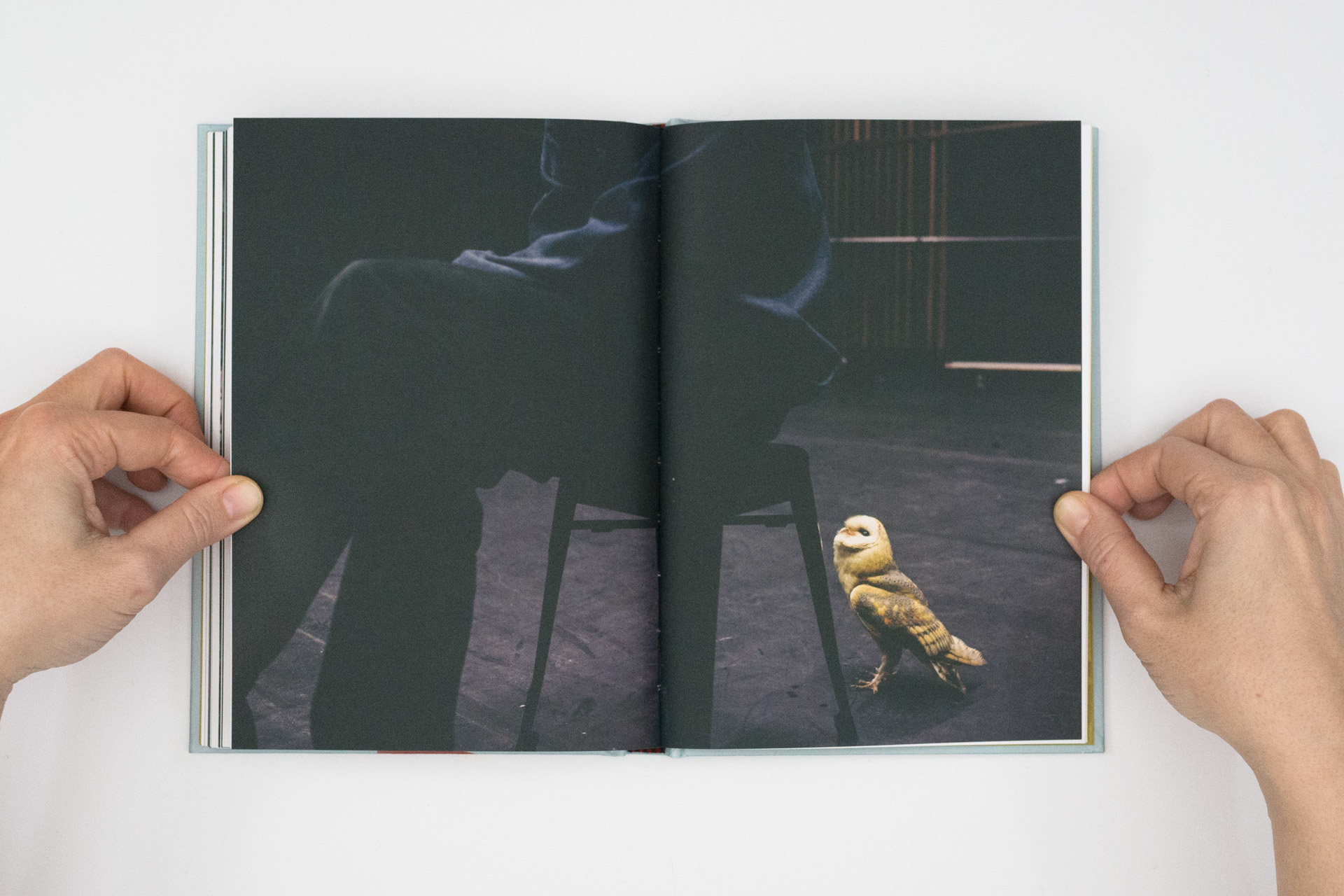 A Sensitive Education - Francesca Todde – Image 12