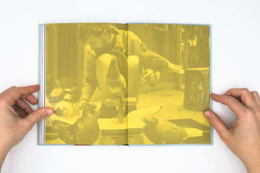 A Sensitive Education - Francesca Todde – Image 14