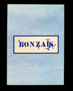 Bonzais - Hicham Amrani