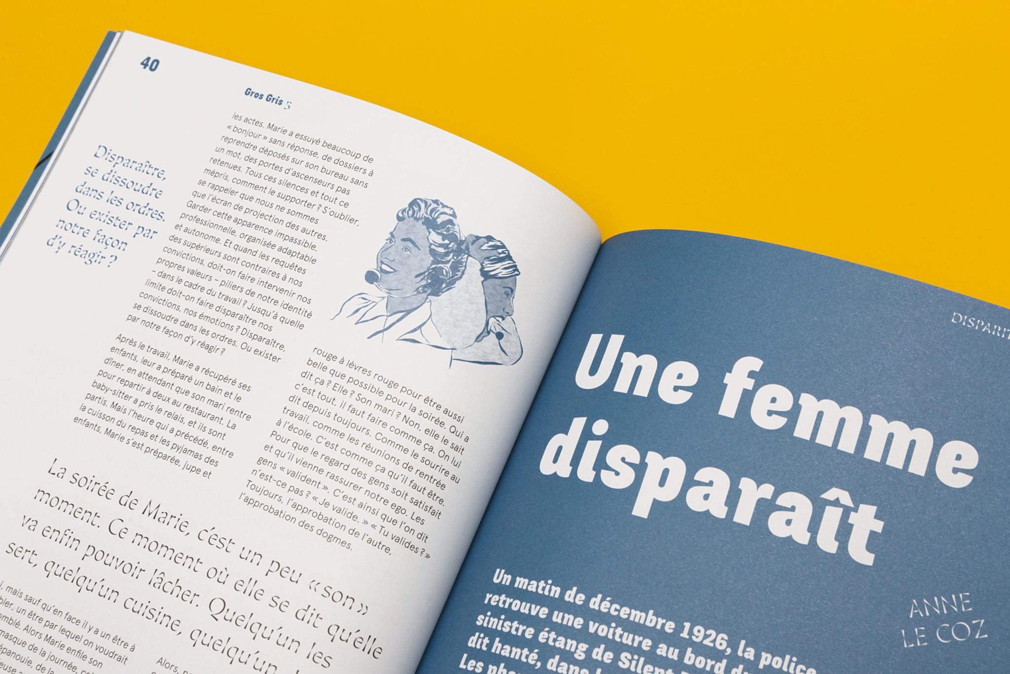 Gros Gris n°5 - Disparition – Image 9