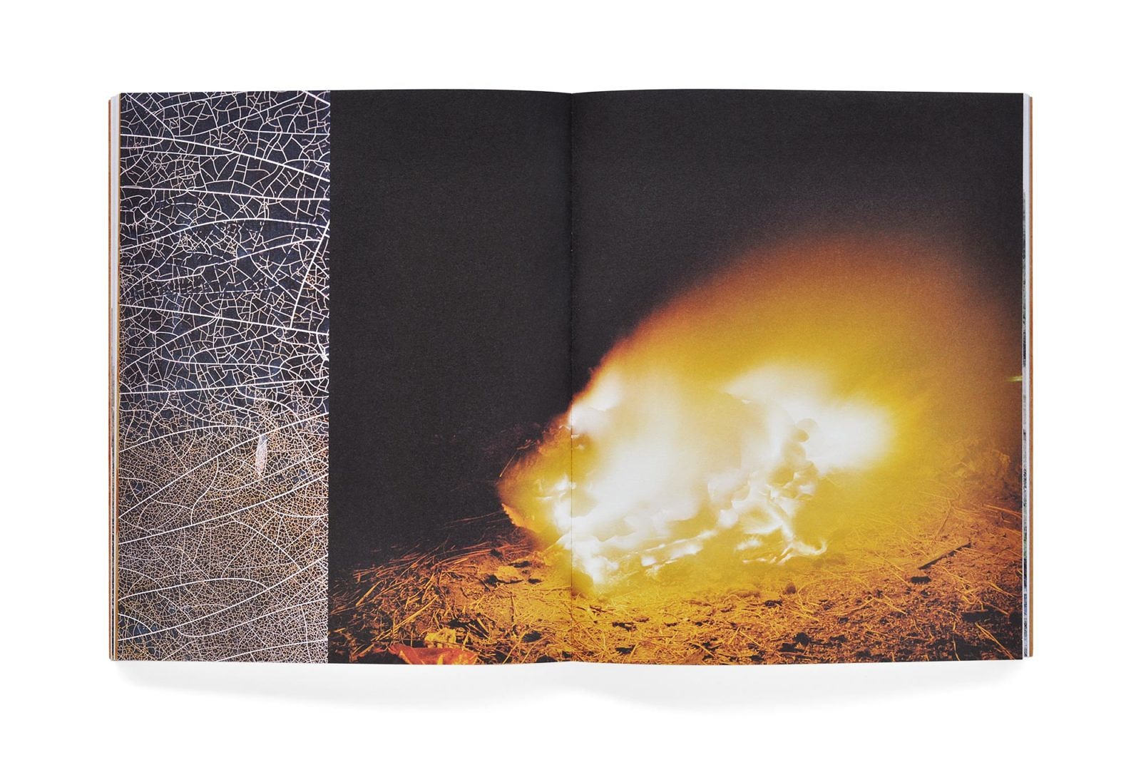 Exile - Vasantha Yogananthan – Image 10