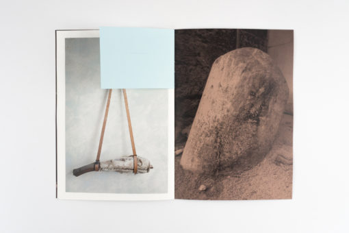 Humoral Fortuities - Francesco Albano’s – Image 8