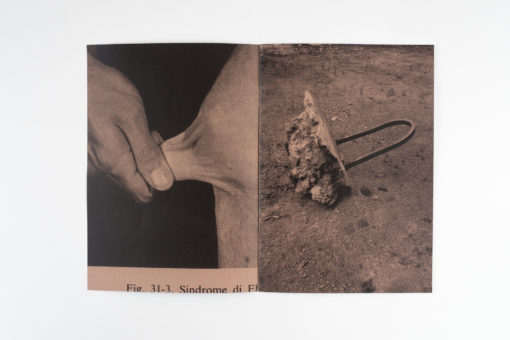 Humoral Fortuities - Francesco Albano’s – Image 2
