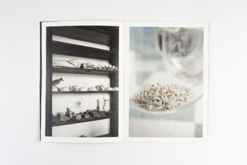 Humoral Fortuities - Francesco Albano’s – Image 4