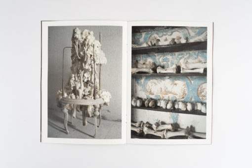 Humoral Fortuities - Francesco Albano’s – Image 6