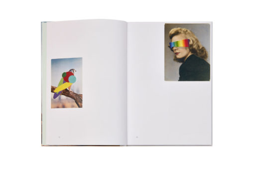 Stickybeak - Julie Cockburn – Image 5
