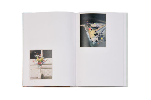 Stickybeak - Julie Cockburn – Image 10