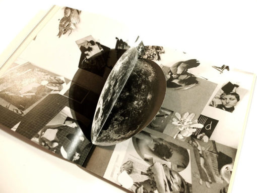 Perles & Fracas - Bill Noir – Image 10