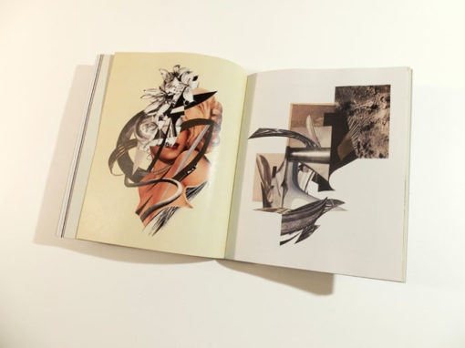 Perles & Fracas - Bill Noir – Image 12