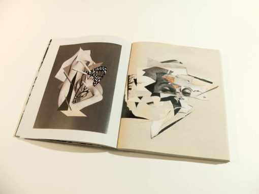 Perles & Fracas - Bill Noir – Image 4