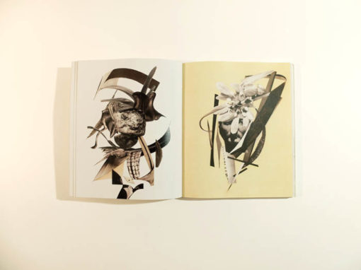 Perles & Fracas - Bill Noir – Image 9