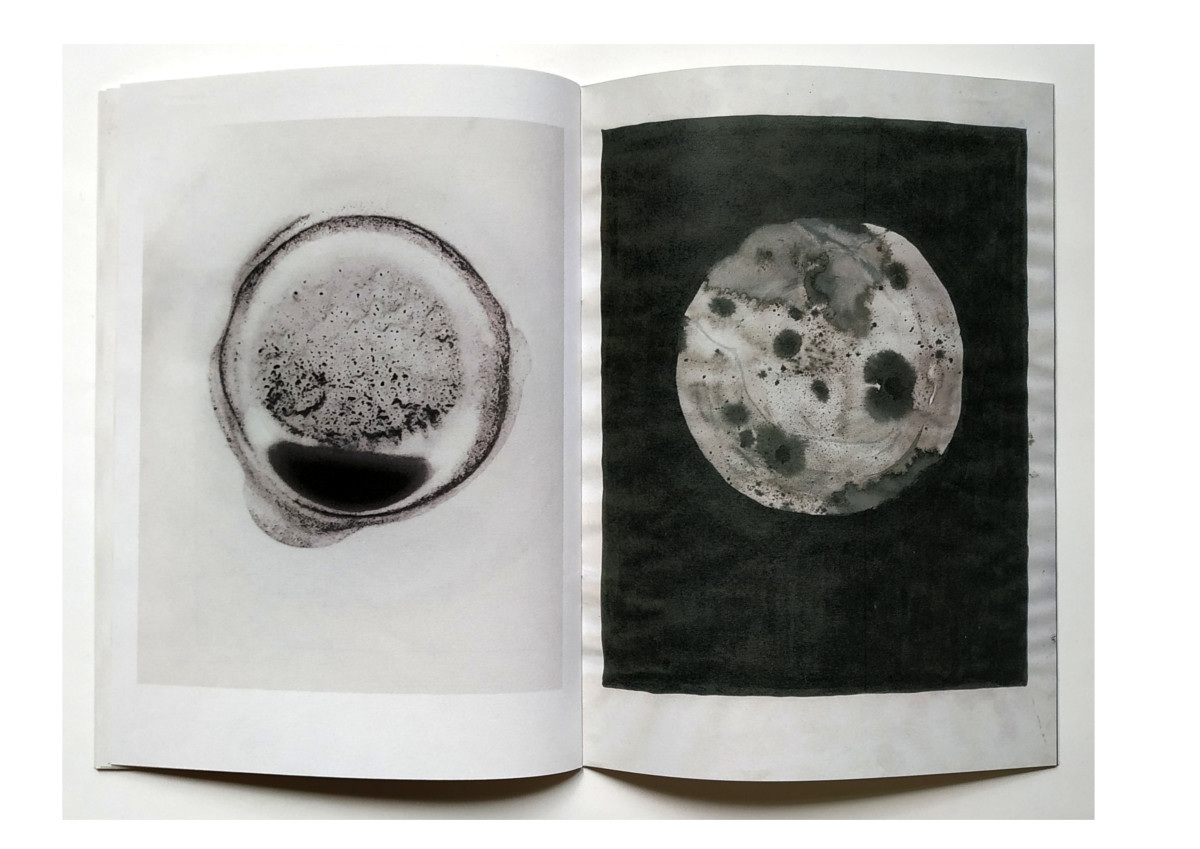 Apocalypse - Lundi a mal – Image 6