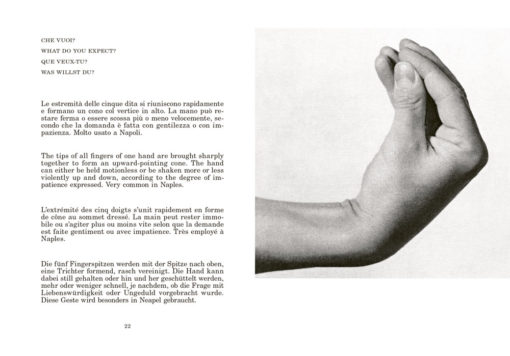 Supplement to the italian dictionary - Bruno Munari – Image 3