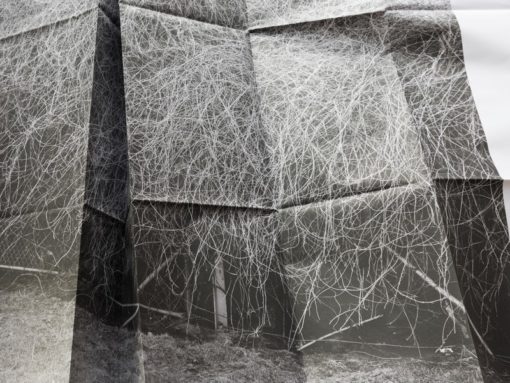 Extrait de Nummer Één - Maud Faivre – Image 5