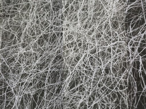 Extrait de Nummer Één - Maud Faivre – Image 6