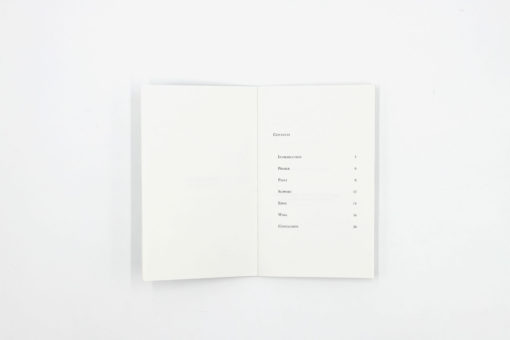 Robert Ryman. Used Paint — Jérôme de Vienne – Image 2