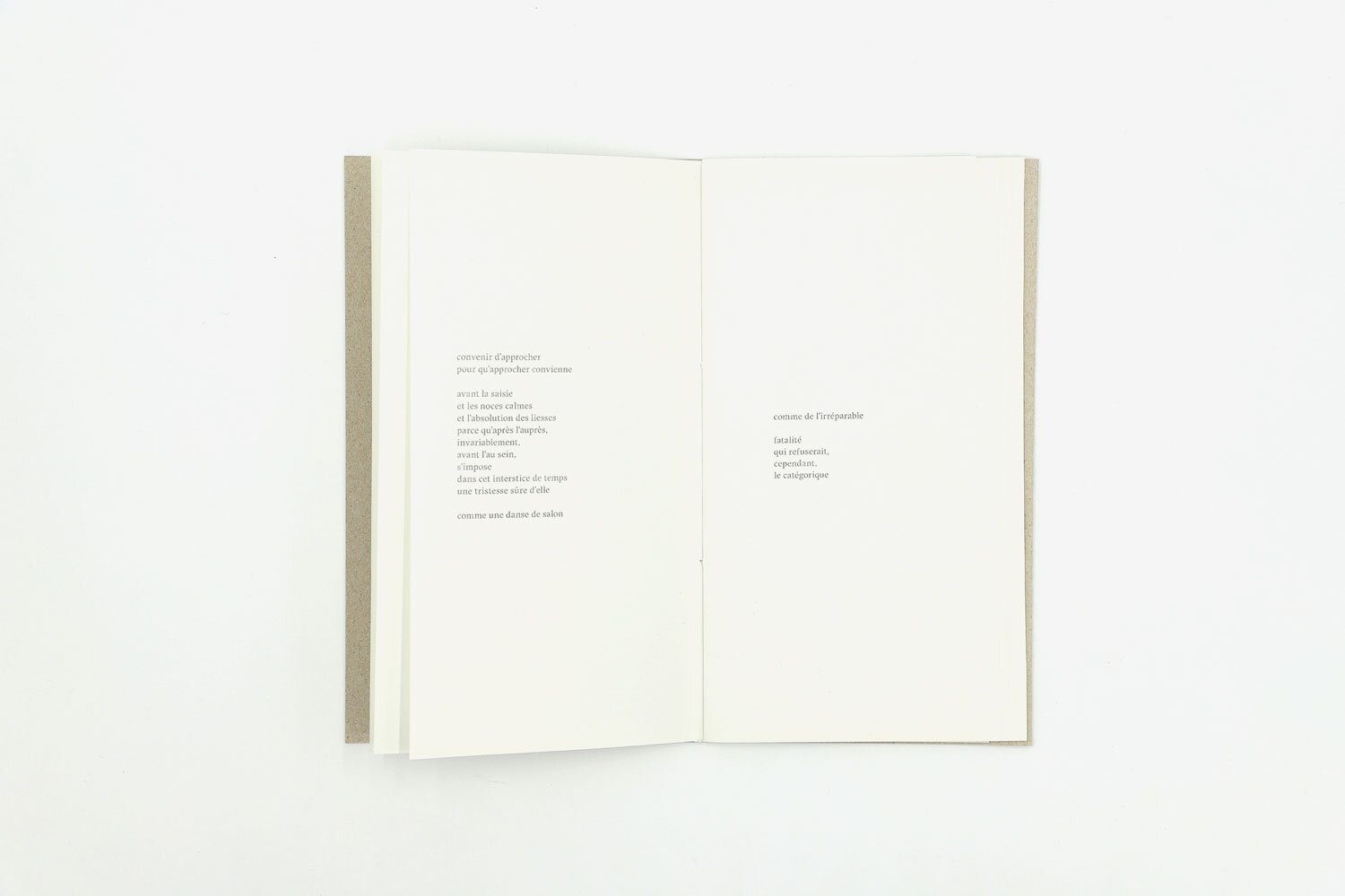 Auprès, au sein — Julien Van Anholt – Image 3