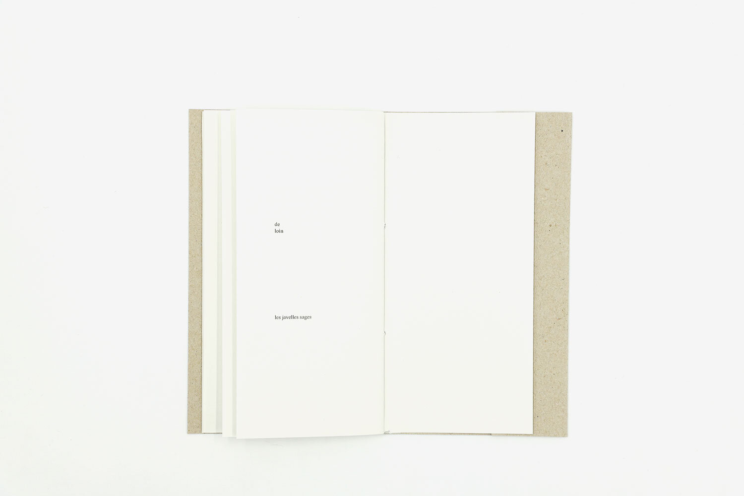 Auprès, au sein — Julien Van Anholt – Image 5