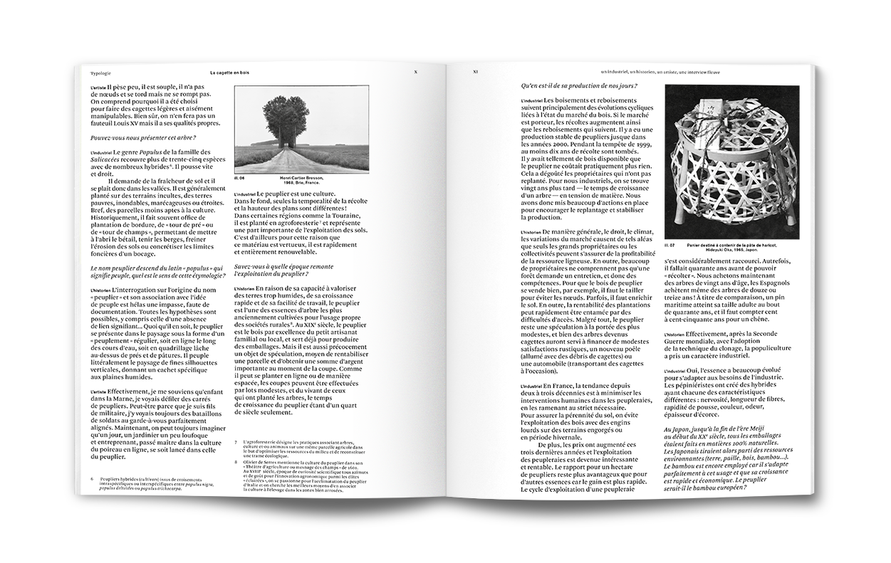 Typologie – La cagette en peuplier – Image 9