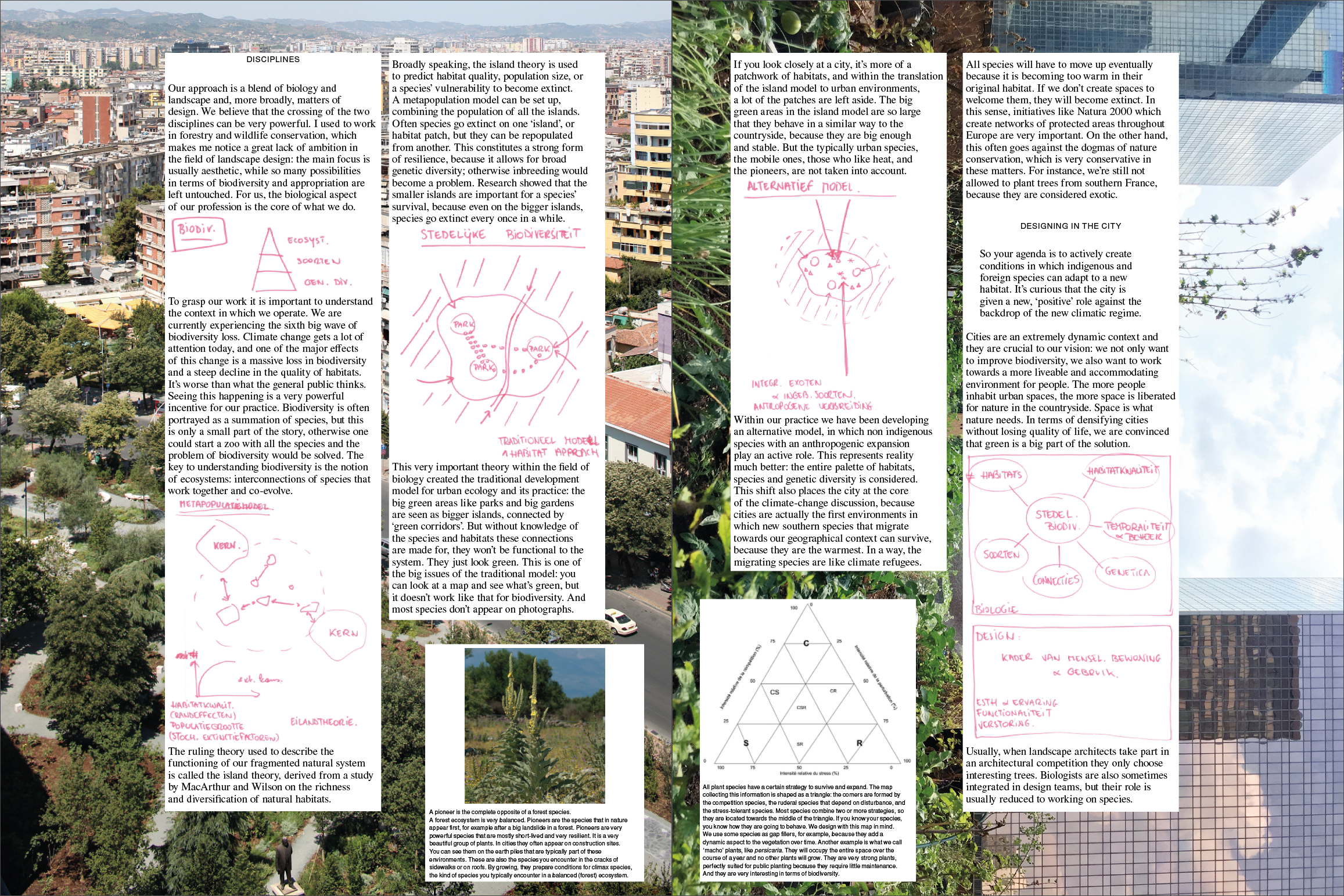 Accattone n° 06 - Coll. – Image 5
